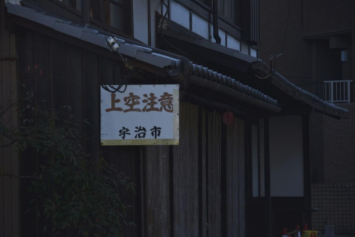田中 健太